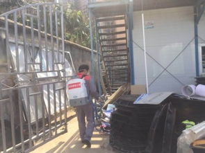 圖 坪山專業除四害工廠辦公室滅蟑螂滅菌消毒服務公司 深圳保潔 清洗